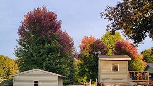 TCIA - Tree Care